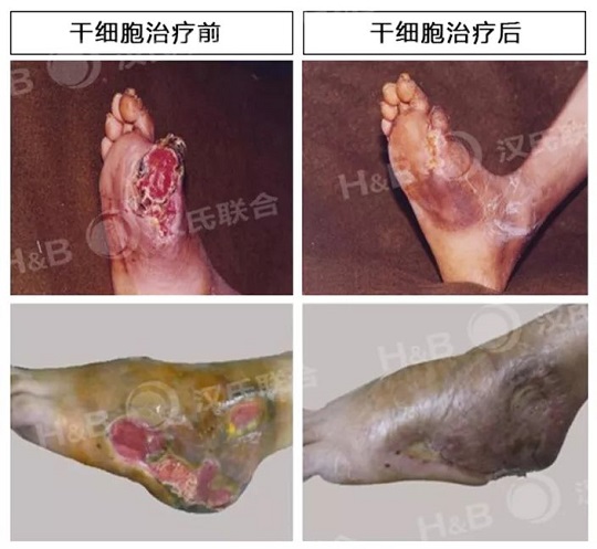 1538198507246768.jpg 2.jpg