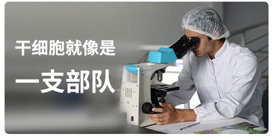 1551752559274226.jpg 間充質(zhì)干細(xì)胞存儲(chǔ)