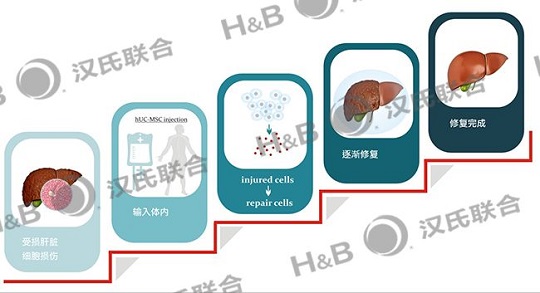 1552441385321260.jpg 5.jpg