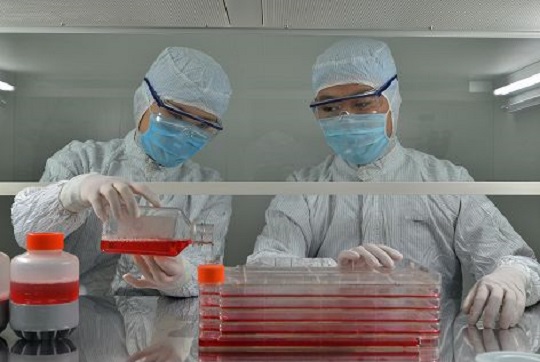 1553492858404976.jpg 4.jpg