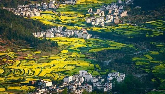 1640575423681092.jpg 1.jpg