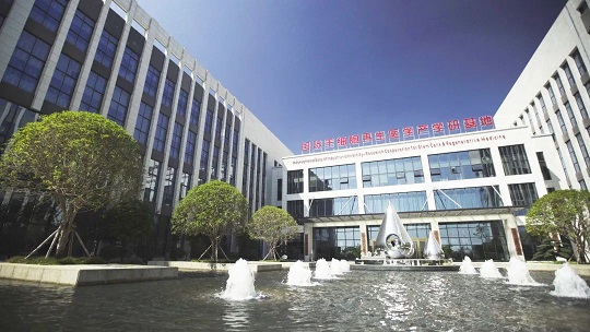 1640575466867817.jpg 4.jpg