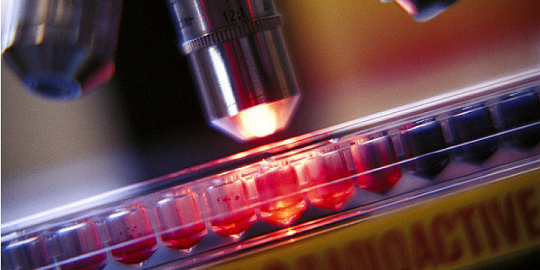 1641793798380583.png 7.png