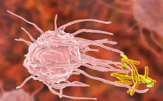 1641795980350411.jpg 2.jpg