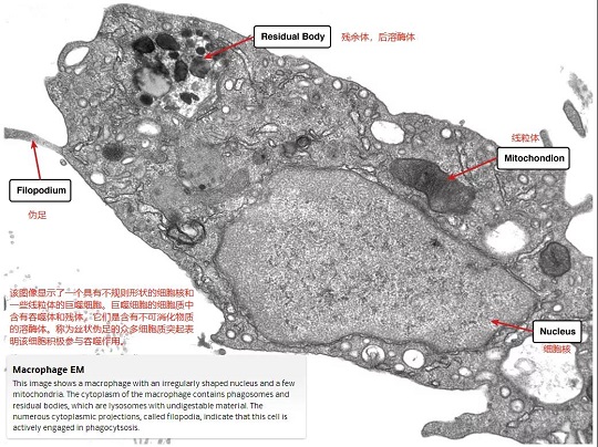 1641795996922446.jpg 3.jpg