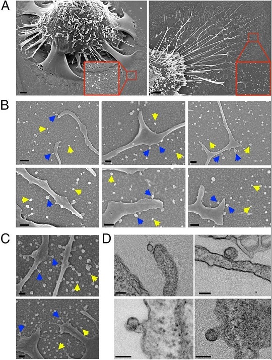 1641796011177192.jpg 4.jpg