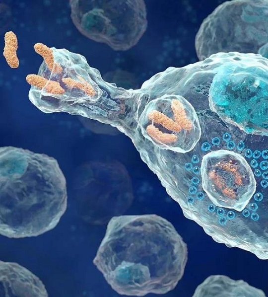 1641796036879573.jpg 5.jpg