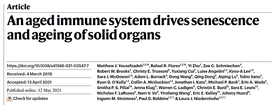 免疫細(xì)胞存儲(chǔ) 免疫細(xì)胞存儲(chǔ)選擇漢氏聯(lián)合
