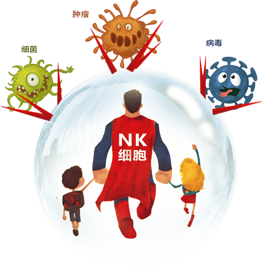 免疫力提高的方法 漢氏聯(lián)合助力免疫細(xì)胞提高