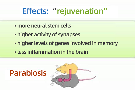 1660289711929243.png 1.png