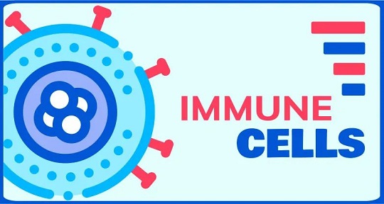 1666331085611295.jpg 1.jpg