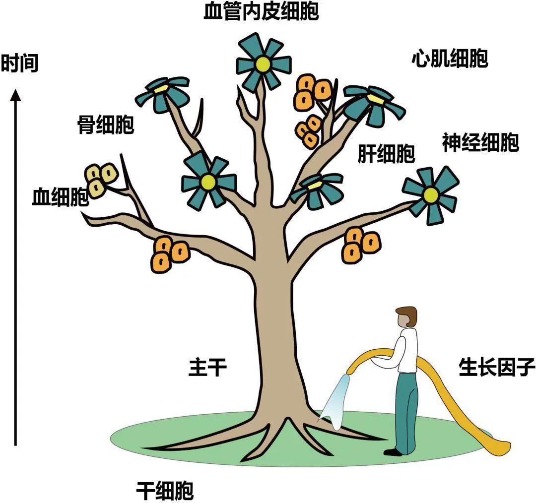 1676967135321030.jpg 1.jpg