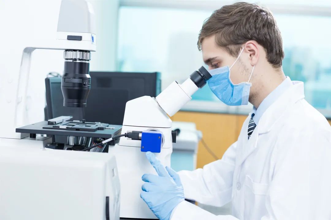 1679985633708257.jpg 1.jpg