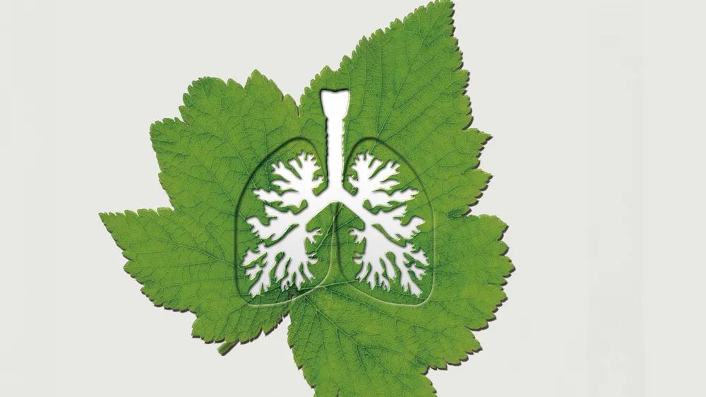 1685685658269722.jpg 640.jpg